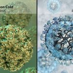 Cold Prevention, Symptoms & Treatment