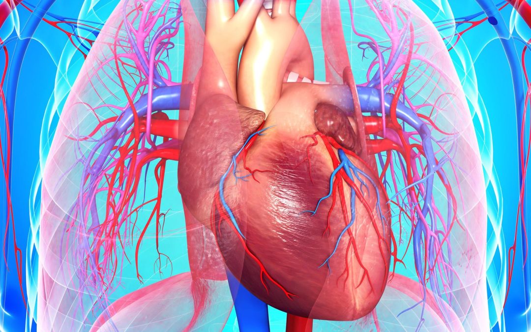 Dr. Naval Parikh: Heart Disease Causes, Symptoms & Treatment