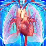 Heart Disease Causes, Symptoms & Treatment